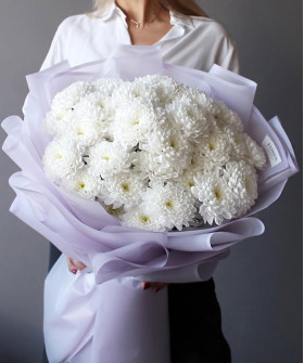 11 кружевных белых хризантем Алтай №6181
