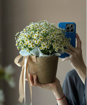 "Улыбка лета" Ромашки танацетум в корзинке джут №4343