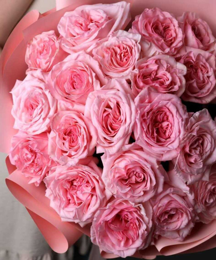 21 пионовидная розовая роза пинк Охара №5687