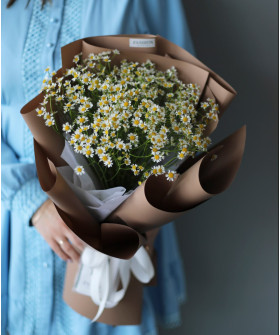 13 нежных ромашек танацетум №2159