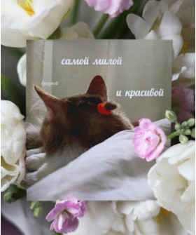 "Самой милой.. и красивой.. и вредной" открытка